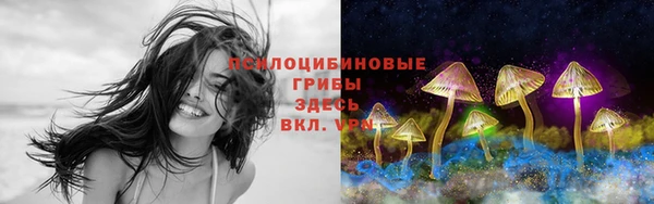 гидра Алзамай