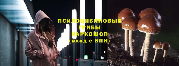 гидра Алзамай