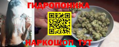 ECSTASY Краснодар